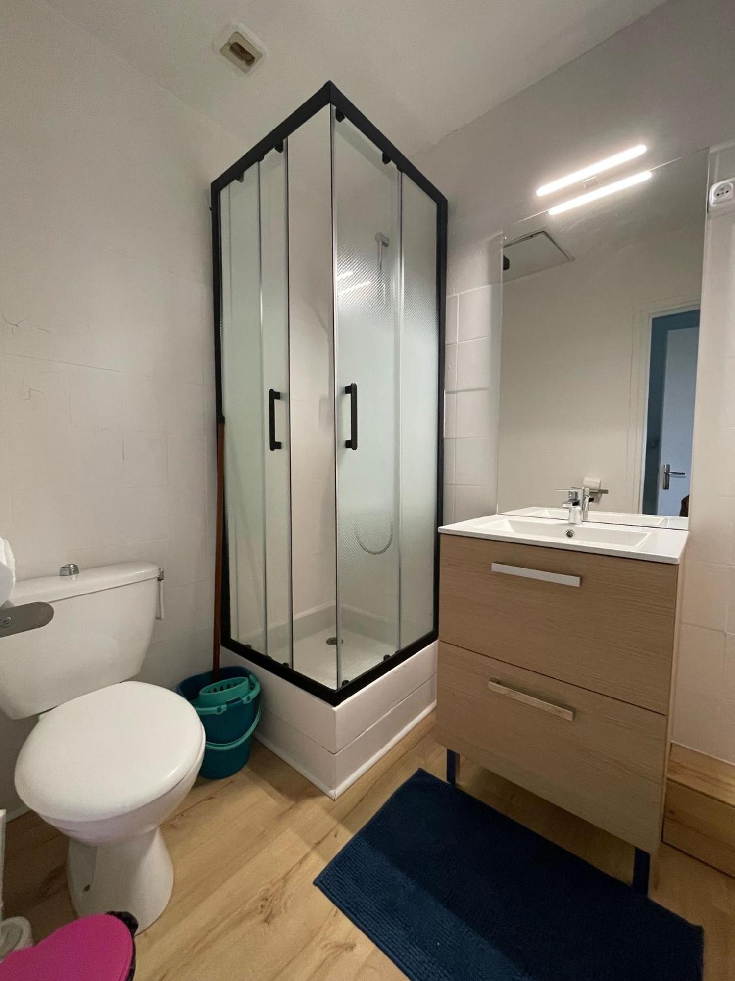 Meuble De Tourisme Dans Parc Arbore 1000M2 - Sejour-La-Roche Eperon La Roche-Posay Kamer foto